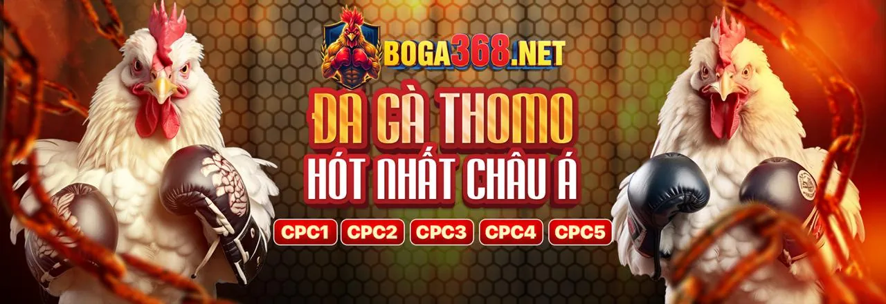 Hoàn Trả Hàng Tuần c1688